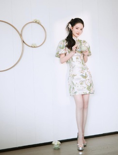 Qin Li feet photo 9