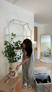 QuarterJade feet photo thumbnail