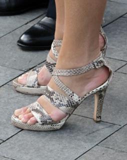 Queen Máxima of the Netherlands feet photo thumbnail
