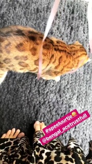Quinty Trustfull feet photo 19