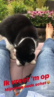 Quinty Trustfull feet photo 12