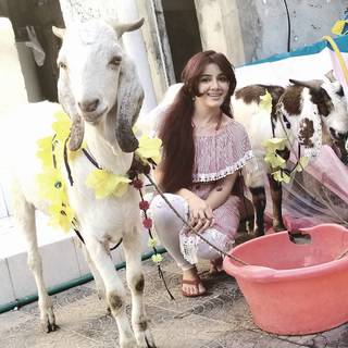 Rabi Pirzada feet photo 16