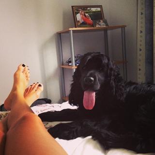 Rachael Finch feet photo 6