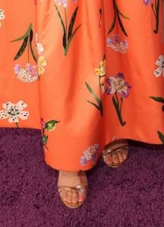 Rachael Leigh Cook feet photo thumbnail