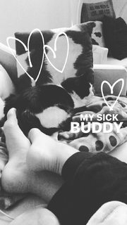 Rachel A. DeMita feet photo thumbnail