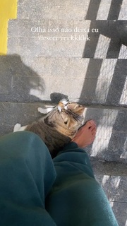 Rachel Apollonio feet photo 1