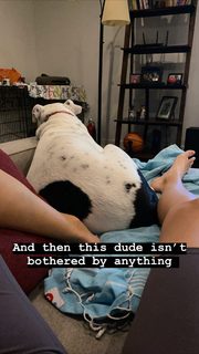 Rachel Ballinger feet photo thumbnail