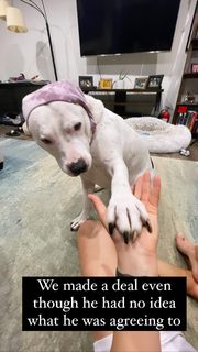 Rachel Ballinger feet photo thumbnail