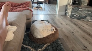 Rachel Ballinger feet photo thumbnail
