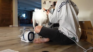 Rachel Ballinger feet photo thumbnail