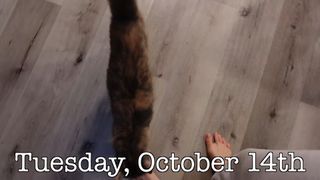 Rachel Ballinger feet photo thumbnail