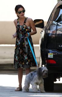 Rachel Bilson feet photo thumbnail