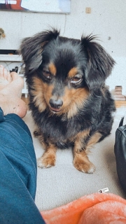 Rachel Bonnetta feet photo thumbnail