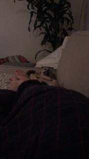Rachel Bonnetta feet photo thumbnail