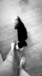 Rachel Bonnetta feet photo thumbnail