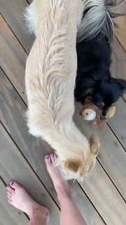 Rachel Bonnetta feet photo thumbnail