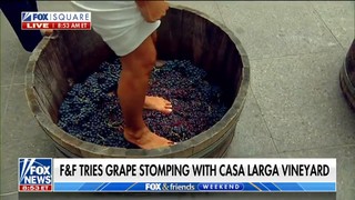 Rachel Campos-Duffy feet photo 12