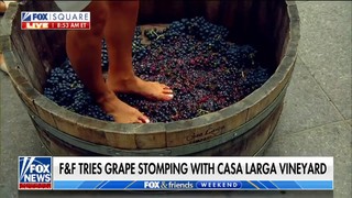 Rachel Campos-Duffy feet photo 11