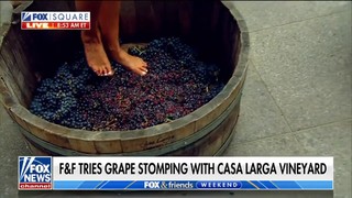 Rachel Campos-Duffy feet photo 10