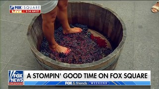 Rachel Campos-Duffy feet photo 9