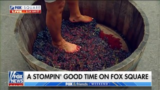 Rachel Campos-Duffy feet photo 8