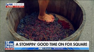 Rachel Campos-Duffy feet photo 7
