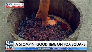 Rachel Campos-Duffy feet photo 6