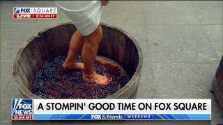 Rachel Campos-Duffy feet photo 5