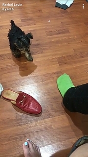 Rachel Levin feet photo 13