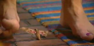 Rachel Reilly feet photo 2