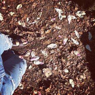 Rachel Skarsten feet photo 8