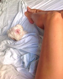 Rachel Sterling feet photo 12