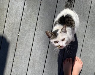 Rachel Zegler feet photo thumbnail