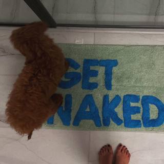 Rachel Zegler feet photo thumbnail