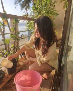 Radhika Madan feet photo 12