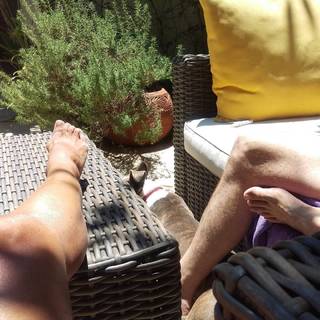 Rae Dawn Chong feet photo 10