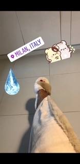 Raffaella Fico feet photo thumbnail