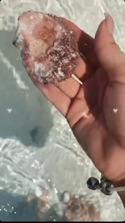 Raghda Taleen feet photo thumbnail