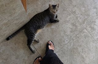 Raghda Taleen feet photo 16