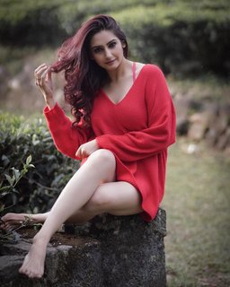 Ragini Dwivedi feet photo 10