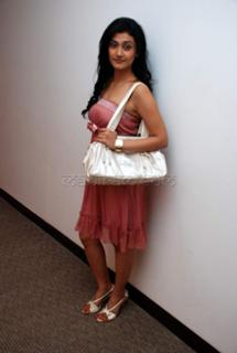 Ragini Khanna feet photo 19