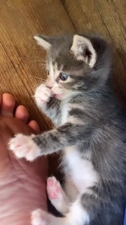 Rainey Qualley feet photo thumbnail