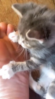 Rainey Qualley feet photo thumbnail