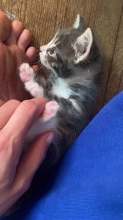 Rainey Qualley feet photo thumbnail