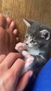 Rainey Qualley feet photo thumbnail