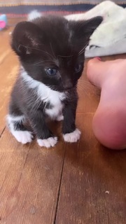 Rainey Qualley feet photo thumbnail