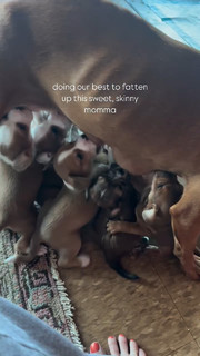 Rainey Qualley feet photo thumbnail