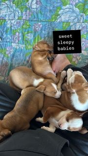 Rainey Qualley feet photo thumbnail