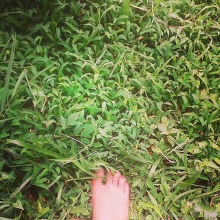 Rajisha Vijayan feet photo 16