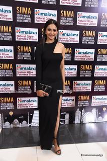Rakul Preet Singh feet photo thumbnail
